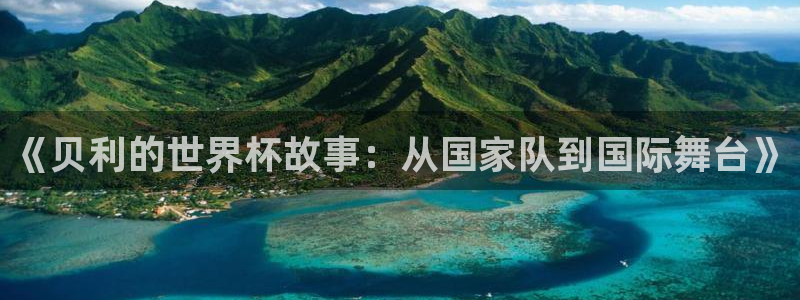 2026 世界杯:《贝利的世界杯故事:从国家队到国际舞台》
