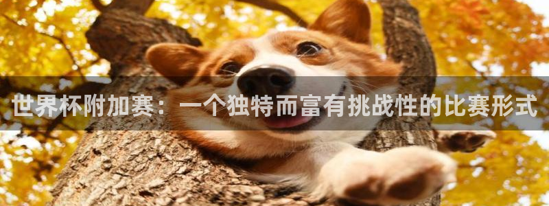 足球世界杯时间：世界杯附加赛：一个独特而富有挑战性的比赛形式