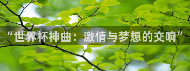 世界杯小组赛赛程：“世界杯神曲：激情与梦想的交响”