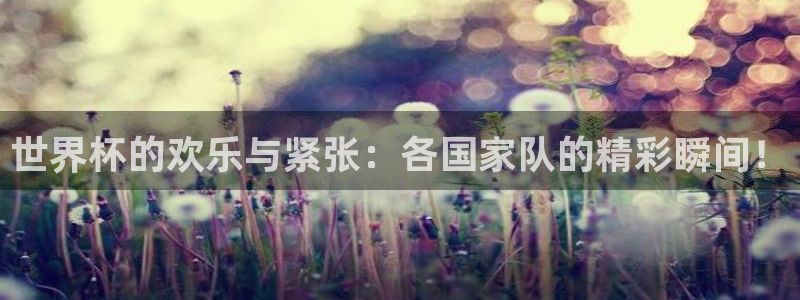 世界杯预选赛亚洲区积分榜：世界杯的欢乐与紧张：各国家队的精彩瞬间！