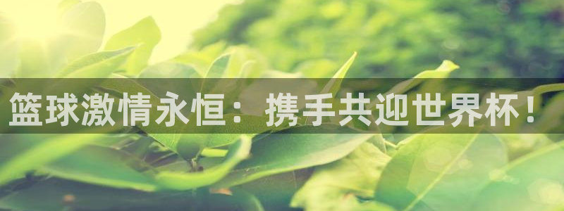 2026年世界杯赛程：篮球激情永恒：携手共迎世界杯！