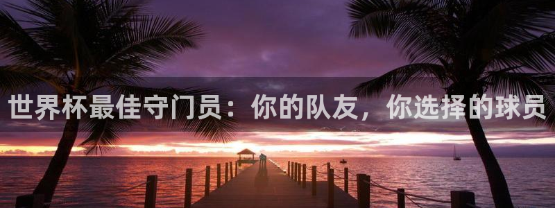 联赛杯直播：世界杯最佳守门员：你的队友，你选择的球员