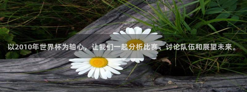 世界杯赛程表：以2010年世界杯为轴心，让我们一起分析比赛、讨论队伍和展望未来。