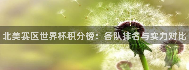 世界杯直播高清：北美赛区世界杯积分榜：各队排名与实力对比