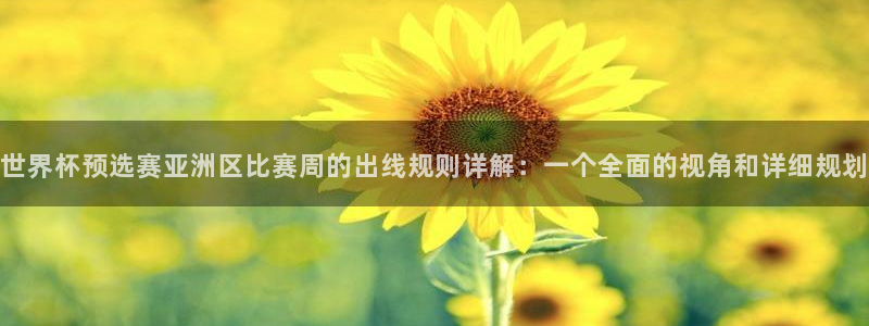 2026世界杯官网：世界杯预选赛亚洲区比赛周的出线规则详解：一个全面的视角和详细规划