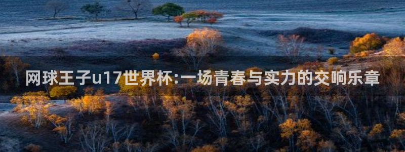 世界杯今日赛程直播：网球王子u17世界杯:一场青春与实力的交响乐章