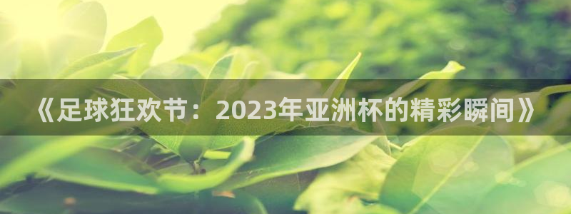英足总杯直播：《足球狂欢节：2023年亚洲杯的精彩瞬间》