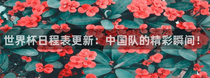 2026世界杯赛制：世界杯日程表更新：中国队的精彩瞬间！
