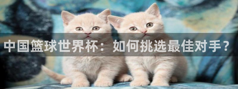 世界杯足球比赛：中国篮球世界杯：如何挑选最佳对手？